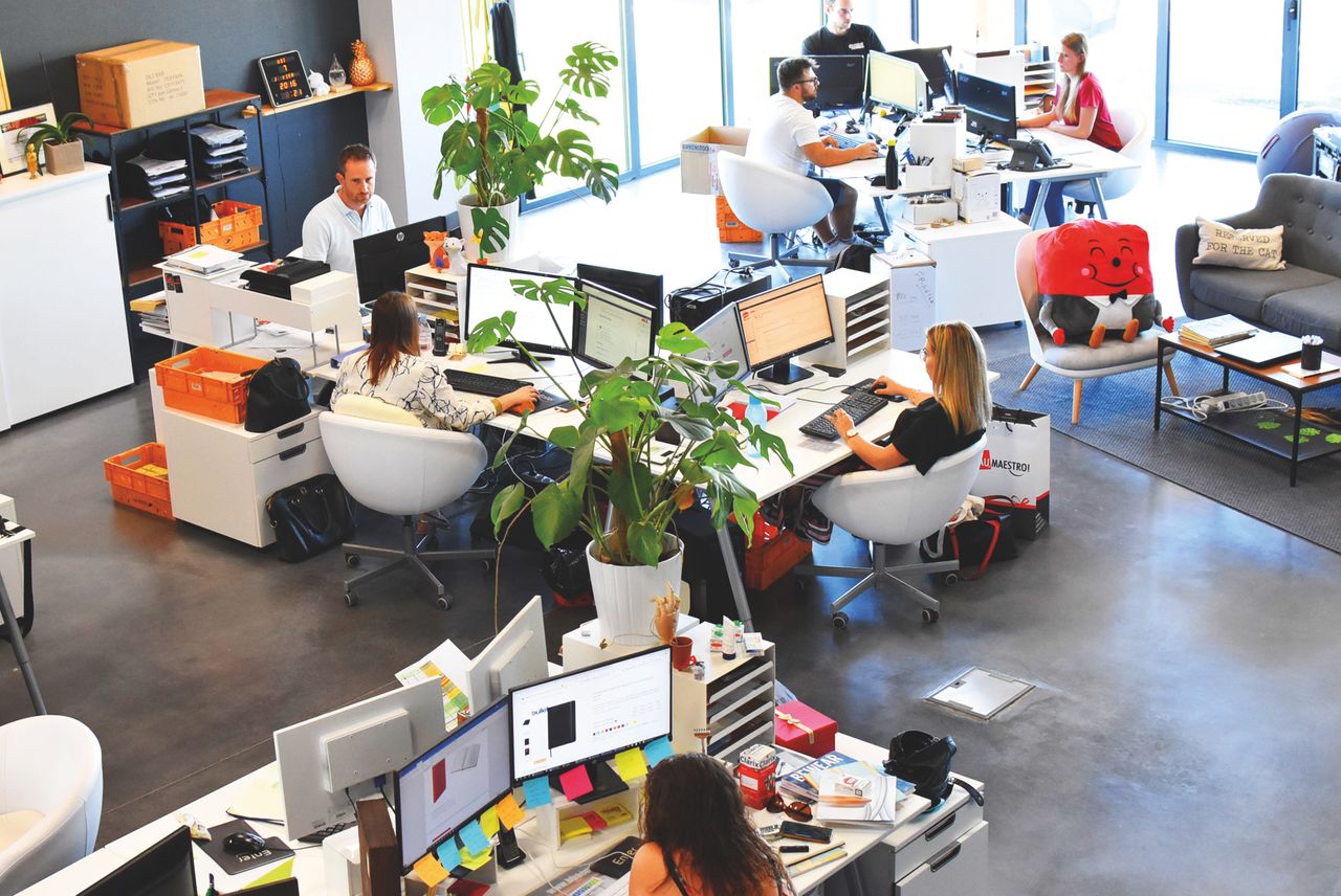 A vibrant modern office with employees collaborating at their desks.